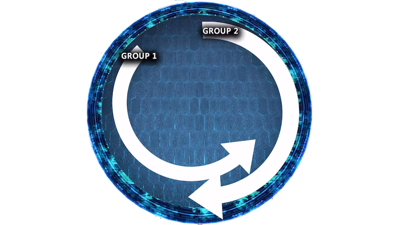 Program Loop Diagram